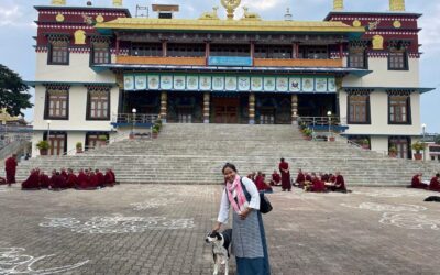 Diamond Tours – Tibetan Buddhism in South India