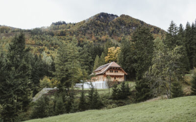 AngelTrust Retreat-AlmSeele- zurück in deine Urkraft